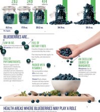 All About Blueberries And Their Powerful Health Benefits Infographic