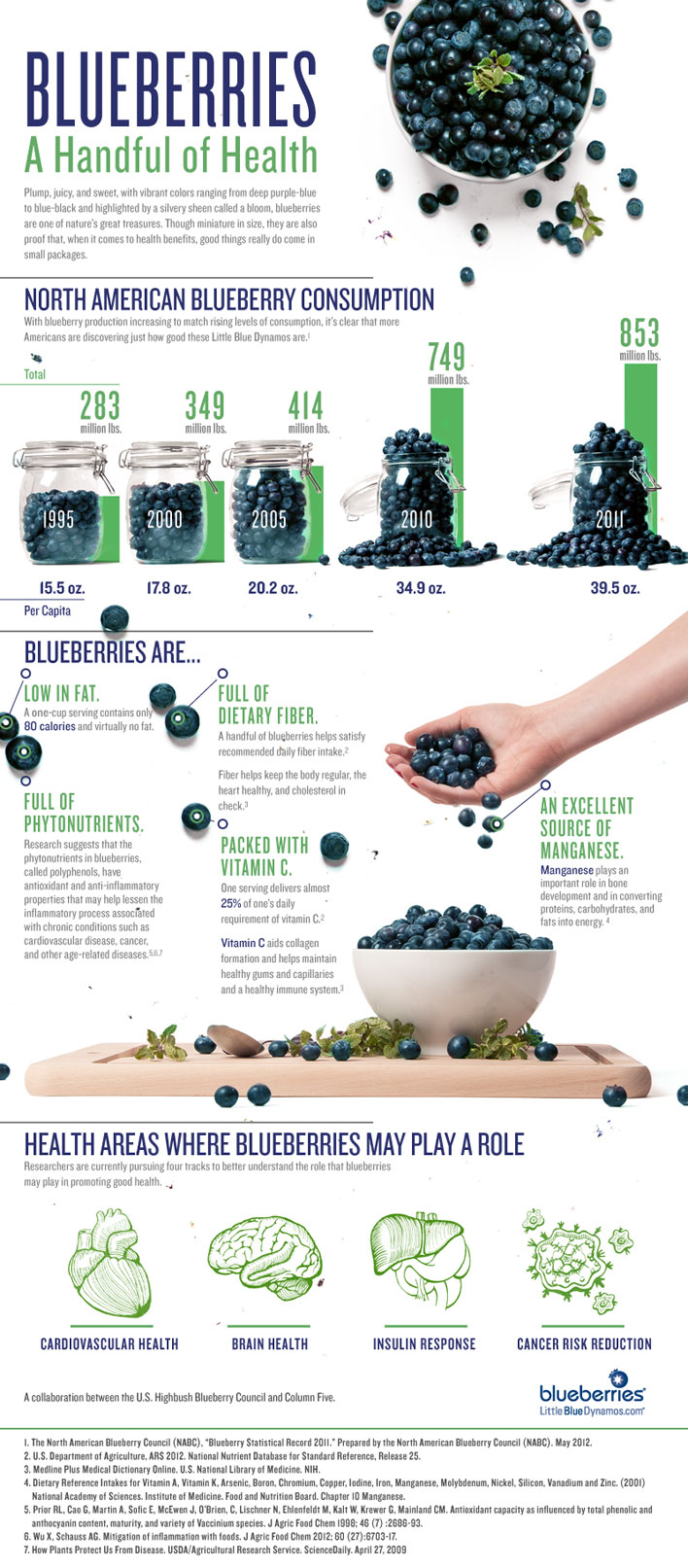 All About Blueberries And Their Powerful Health Benefits Infographic