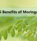 5 Excellent Reasons To Include Moringa In Your Nutrition Plan Video