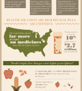 Food Or Medicine: What Do You Choose? Infographic