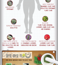 Common Illnesses And Their Essential Oil Solutions Infographic