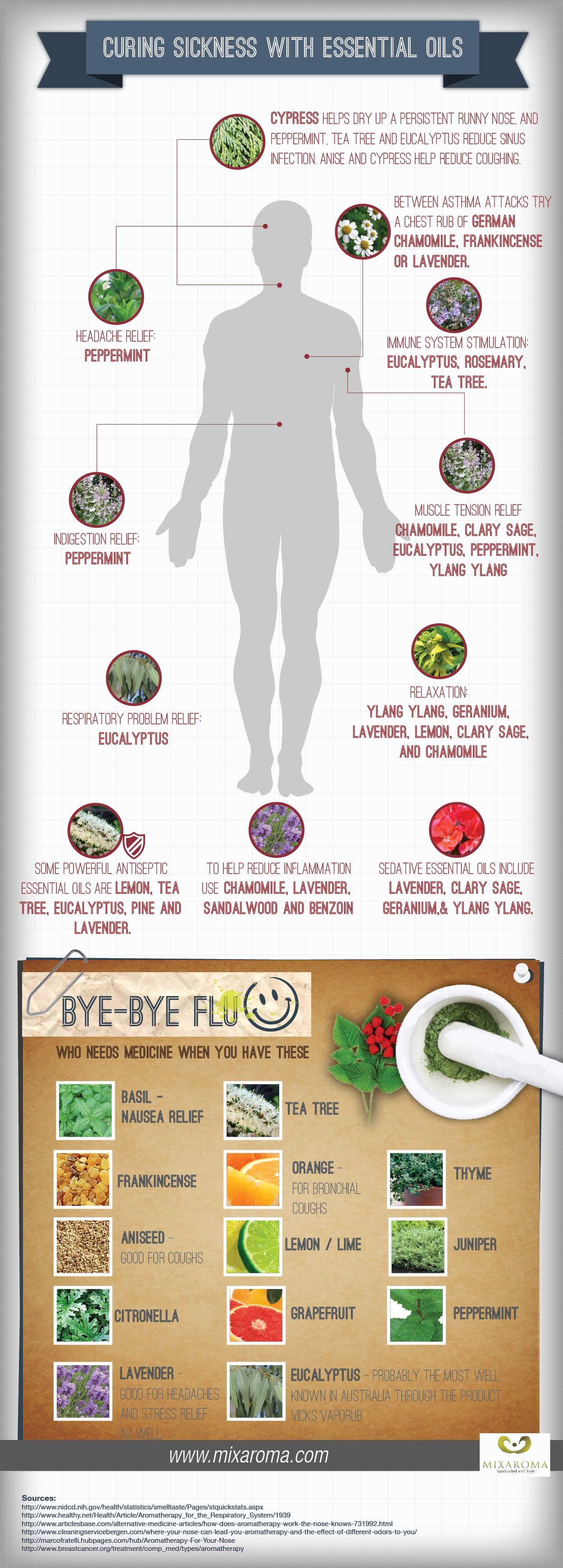 Common Illnesses And Their Essential Oil Solutions Infographic