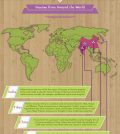 Everything You Need to Know About Incense Infographic