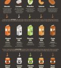 Easy Nuts Milk And Butter Recipes Infographic