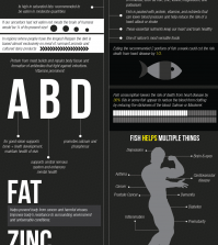 Red Meat And Fish: What Is The Real Difference? Infographic