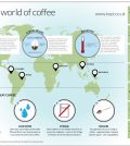 Facts About The World Of Coffee (And Coffee In The World) Infographic