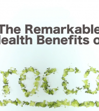 Why Broccoli Is One Of The Best Vegetables Ever Video