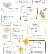 Chamomile, Ginger Or Peppermint? Health Benefits Of Herbal Tea Infographic