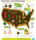 Grow Local: All About Home Gardening In The U.S. Infographic