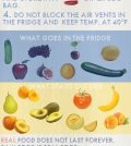 Everything You Wanted To Know About Raw Food Storage Infographic