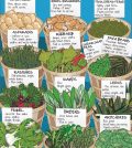 Your Guide To Picking The Best Spring Produce Infographic