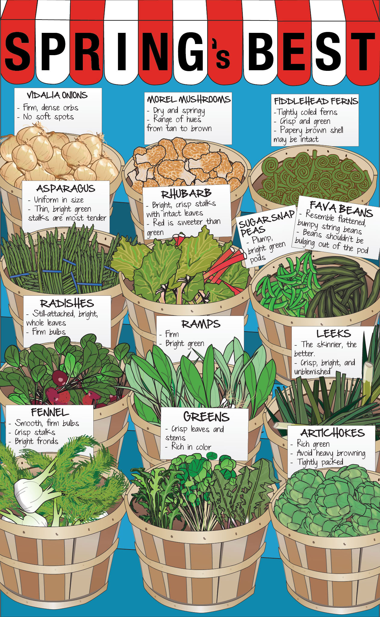 Your Guide To Picking The Best Spring Produce Infographic