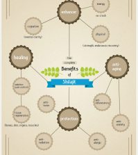 Shilajit: What It Is And Why It’s Beneficial For Your Health Infographic