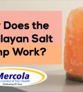 How Does The Himalayan Salt Lamp Work? Find Out! Video