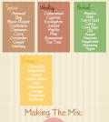 Beginner’s Guide To Essential Oils And Blending Infographic