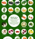 Zero Calorie Foods That Will Help You Lose Weight Fast Infographic