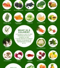 Zero Calorie Foods That Will Help You Lose Weight Fast Infographic