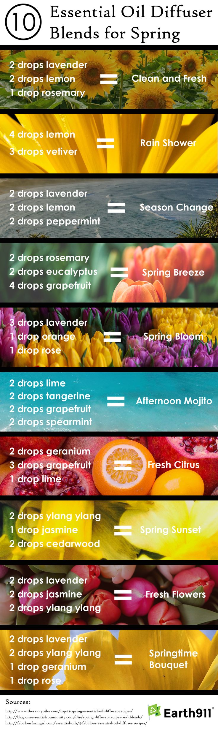 Refreshing Essential Oil Blends For The Spring Season 