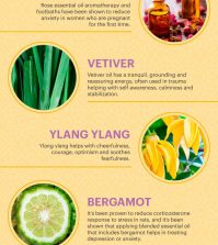 Top 7 Essential Oils That Can Help You With Anxiety Infographic