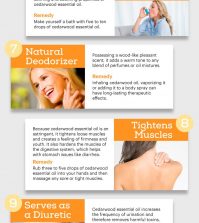 Cedarwood Essential Oil And Its Amazing Properties Infographic