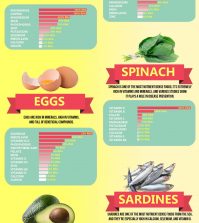 Top 12 Most Nutrient Dense Foods On The Planet Infographic