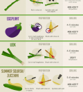 Learn To Grill Vegetables Like A Real Chef Infographic