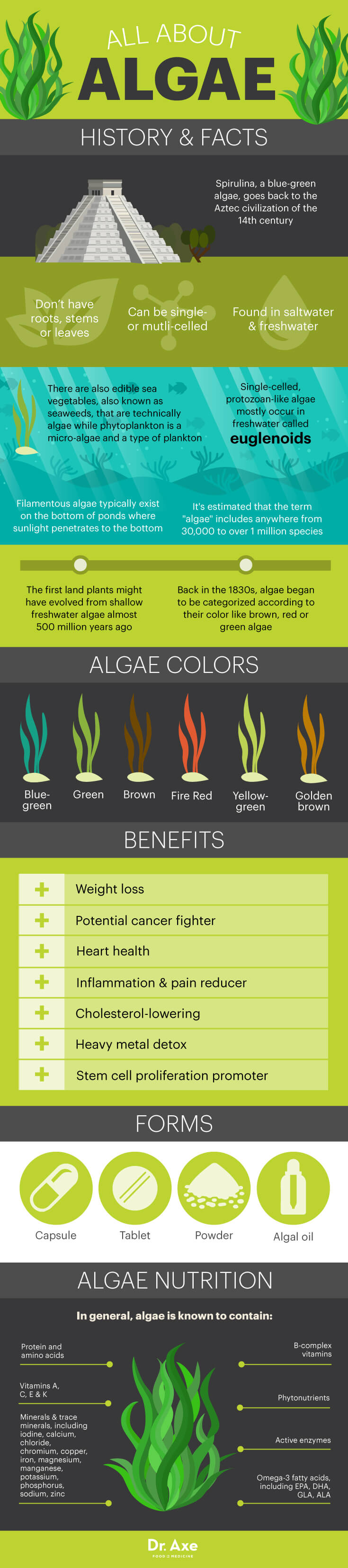 All About Algae: Superfood Facts And Health Benefits Infographic