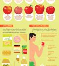 A Comprehensive Guide To Apples Infographic