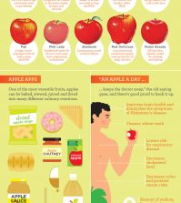 A Comprehensive Guide To Apples Infographic