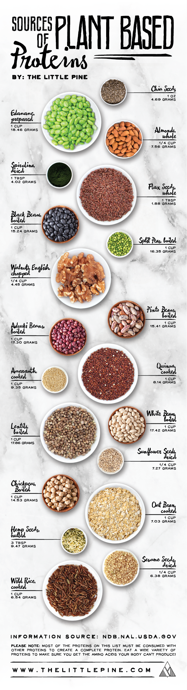 The Best Sources Of Plant Based Protein For A Healthy Diet Infographic