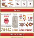 A Chili A Day Keeps The Doctor Away? Infographic