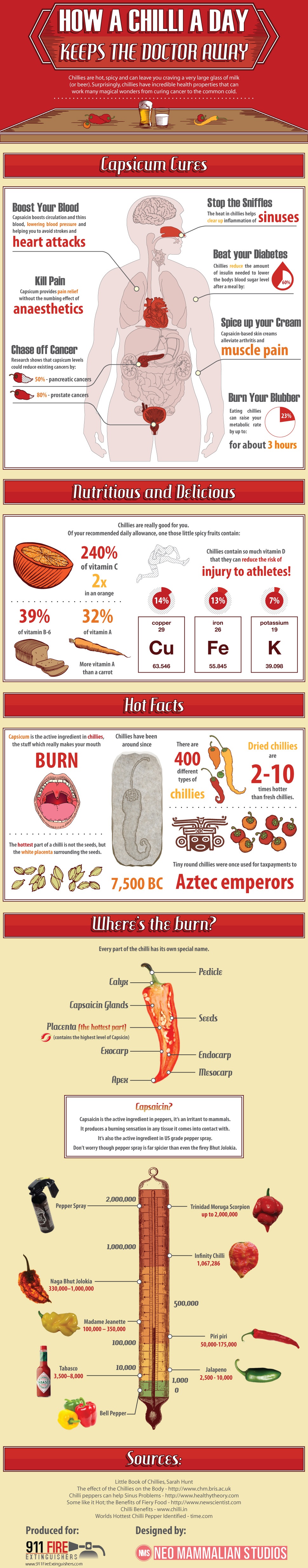 A Chili A Day Keeps The Doctor Away? Infographic