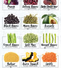 The Ultimate List Of 24 High Fiber Foods Infographic