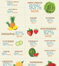 Is It Possible To Eat Water? Infographic