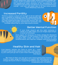 7 Reasons To Consider Adopting Pescetarian Diet Infographic