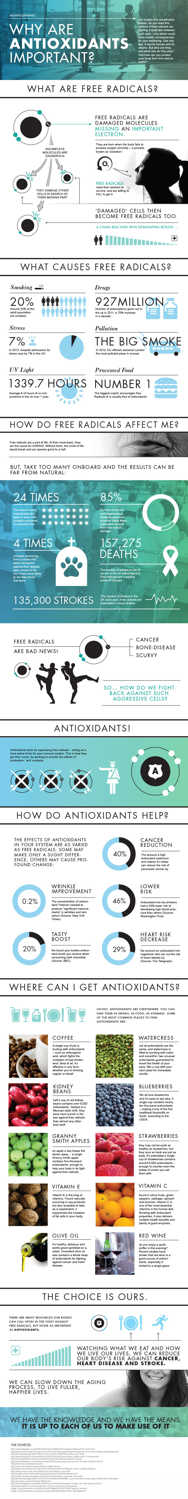 Why Are Antioxidants So Important? Infographic