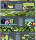 The Not-So-Famous Leafy Greens You Should Know About Infographic