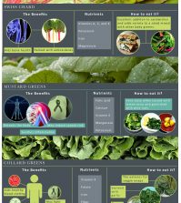 The Not-So-Famous Leafy Greens You Should Know About Infographic