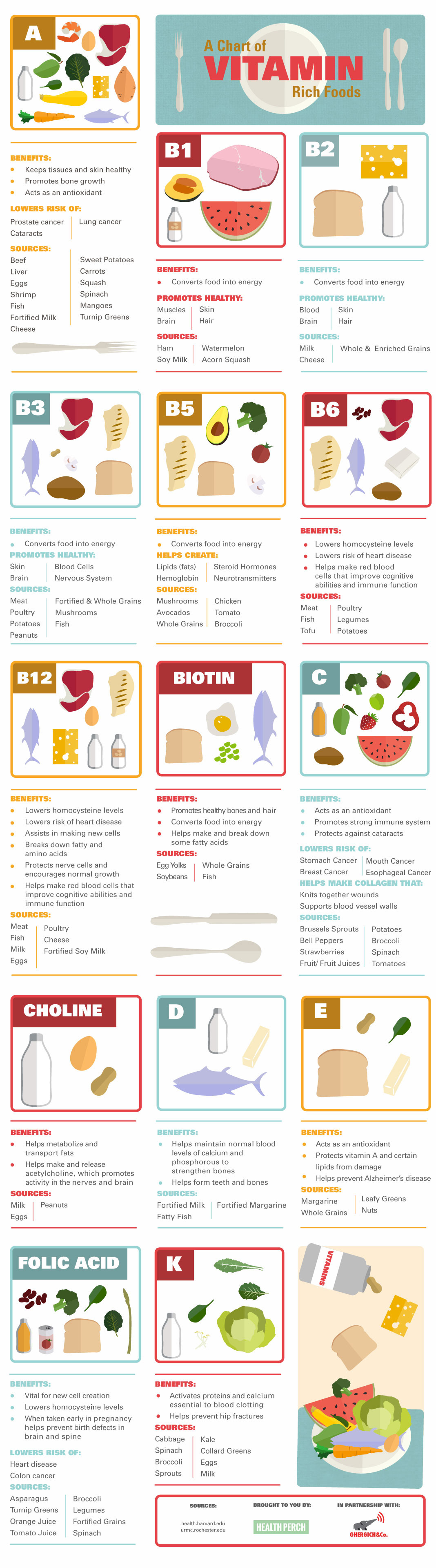 Vitamin Rich Foods: A Comprehensive Chart Infographic