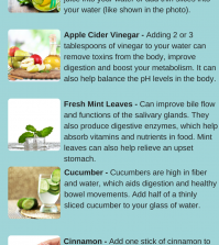 6 Ingredients You Can Add To Water For Better Digestive Health Infographic