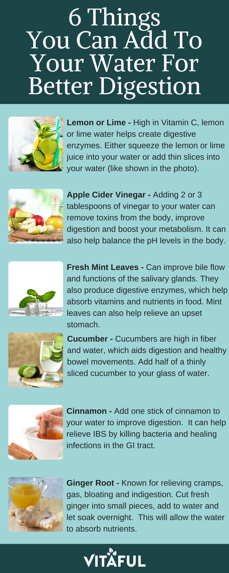 6 Ingredients You Can Add To Water For Better Digestive Health Infographic