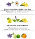 5 Essential Oil Diffuser Blends For Eliminating Stress Infographic