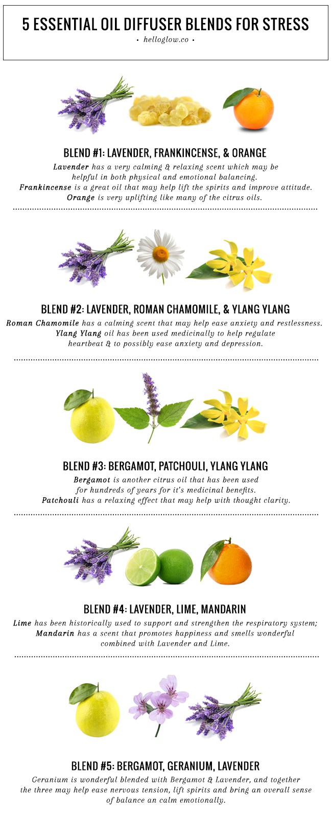 5 Essential Oil Diffuser Blends For Eliminating Stress Infographic