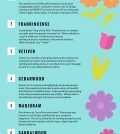 8 Most Effective Essential Oils For Better Sleep And Relaxation Infographic