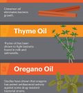 The Most Effective Essential Oils For Fighting Bacteria Infographic