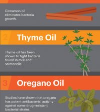 The Most Effective Essential Oils For Fighting Bacteria Infographic