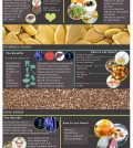 Seeds: Why These Tiny Powerhouses Deserve A Place In Your Diet Infographic