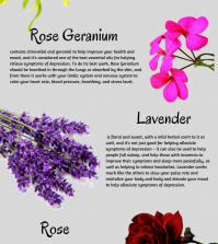 Top 5 Essential Oils For Treating Depression Infographic