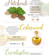 A Guide To Healing Negative Emotions With Essential Oils Infographic