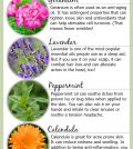 Life-Changing Essential Oil Hacks For Everyday Health Infographic